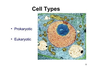 Cell Types
• Prokaryotic
• Eukaryotic
9
 