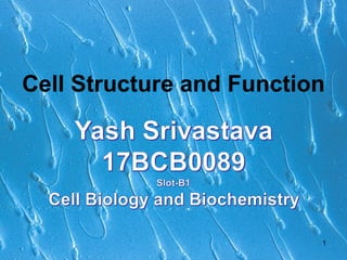 Cell Structure and Function
1
 