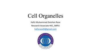 Cell Organelles
Hafiz Muhammad Zeeshan Raza
Research Associate HEC_NRPU
hafizraza26@gmail.com
 