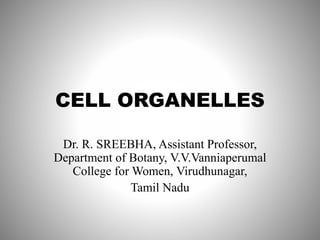 CELL ORGANELLES
Dr. R. SREEBHA, Assistant Professor,
Department of Botany, V.V.Vanniaperumal
College for Women, Virudhunagar,
Tamil Nadu
 