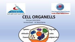 CELL ORGANELLS
First year (2022/2023)
Dr.Amal Elnaili Dr. Manal Eljerby
1
 