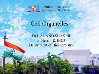 Dr I. ANAND SHAKER
Professor & HOD
Department of Biochemistry
Cell Organelles
 