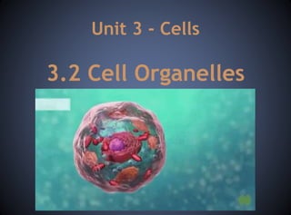 Unit 3 - Cells
3.2 Cell Organelles
 