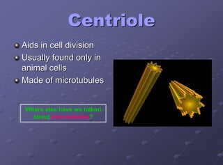 Centriole
Aids in cell division
Usually found only in
animal cells
Made of microtubules
Where else have we talked
about microtubules?
 