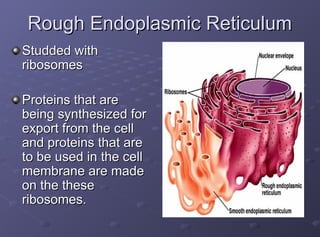 CELL ORGANELLES POWERPOINT PRESENTATION OKOKOK | PPT