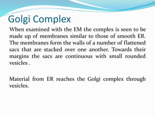 Golgi Complex
When examined with the EM the complex is seen to be
made up of membranes similar to those of smooth ER.
The membranes form the walls of a number of flattened
sacs that are stacked over one another. Towards their
margins the sacs are continuous with small rounded
vesicles .
Material from ER reaches the Golgi complex through
vesicles.
 