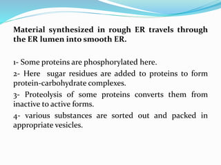 Material synthesized in rough ER travels through
the ER lumen into smooth ER.
1- Some proteins are phosphorylated here.
2- Here sugar residues are added to proteins to form
protein-carbohydrate complexes.
3- Proteolysis of some proteins converts them from
inactive to active forms.
4- various substances are sorted out and packed in
appropriate vesicles.
 