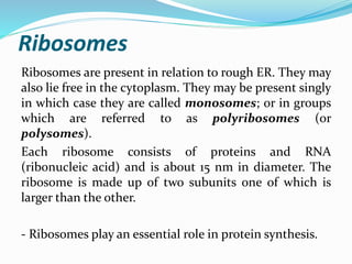 Ribosomes
Ribosomes are present in relation to rough ER. They may
also lie free in the cytoplasm. They may be present singly
in which case they are called monosomes; or in groups
which are referred to as polyribosomes (or
polysomes).
Each ribosome consists of proteins and RNA
(ribonucleic acid) and is about 15 nm in diameter. The
ribosome is made up of two subunits one of which is
larger than the other.
- Ribosomes play an essential role in protein synthesis.
 