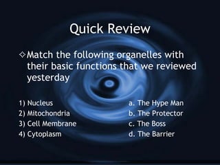 Daily Four Organelles Today we will be looking at 4 more basic cell organelles and their functions Ribosomes Endoplasmic Reticulum Golgi Complex Cell Membrane 