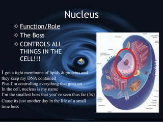 Nucleus Function/Role The Boss CONTROLS ALL THINGS IN THE CELL!!! I  got a tight membrane of lipids & proteins and they keep my DNA contained  Plus I’m controlling everything that goes on  In the cell, nucleus is my name I’m the smallest boss that you’ve seen thus far (3x) Cause its just another day in the life of   a small time boss 