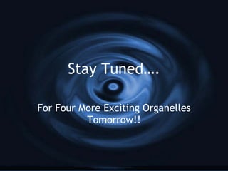 Stay Tuned…. For Four More Exciting Organelles Tomorrow!! 