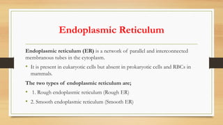 Endoplasmic Reticulum
Endoplasmic reticulum (ER) is a network of parallel and interconnected
membranous tubes in the cytoplasm.
• It is present in eukaryotic cells but absent in prokaryotic cells and RBCs in
mammals.
The two types of endoplasmic reticulum are;
• 1. Rough endoplasmic reticulum (Rough ER)
• 2. Smooth endoplasmic reticulum (Smooth ER)
 