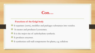 Con…
Functions of the Golgi body
v It separates (sorts), modifies and packages substances into vesicles.
v It creates and produces Lysosomes.
v It is the major site of carbohydrate synthesis.
v It produces enzymes.
v It synthesizes cell wall components for plants, e.g. cellulose
 