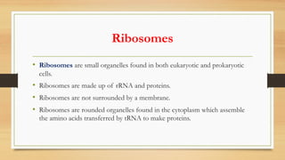 Ribosomes
• Ribosomes are small organelles found in both eukaryotic and prokaryotic
cells.
• Ribosomes are made up of rRNA and proteins.
• Ribosomes are not surrounded by a membrane.
• Ribosomes are rounded organelles found in the cytoplasm which assemble
the amino acids transferred by tRNA to make proteins.
 