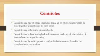 Centrioles
• Centrioles are pair of small organelles made up of microtubules which lie
close together at right angle to each other.
• Centrioles are only found in animal cells.
• Centrioles are hollow and cylindrical structures made up of nine triplets of
microtubules arranged in a ring.
• Centrioles are found in spherical body called centrosome, found in the
cytoplasm near the nucleus.
 