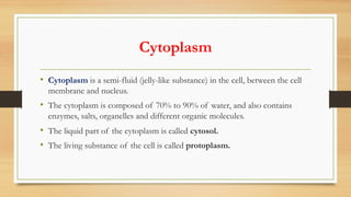 Cytoplasm
• Cytoplasm is a semi-fluid (jelly-like substance) in the cell, between the cell
membrane and nucleus.
• The cytoplasm is composed of 70% to 90% of water, and also contains
enzymes, salts, organelles and different organic molecules.
• The liquid part of the cytoplasm is called cytosol.
• The living substance of the cell is called protoplasm.
 