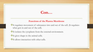 Con…
Functions of the Plasma Membrane
vIt regulates movement of substances into and out of the cell. (It regulates
what gets in and out of the cell).
vIt isolates the cytoplasm from the external environment.
vIt gives shape to the animal cells.
vIt allows interaction with other cells.
 