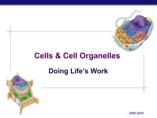 Cells & Cell Organelles Doing Life’s Work 