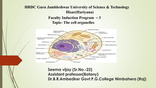 Seema vijay (Sr.No.-22)
Assistant professor(Botany)
Dr.B.R.Ambedker Govt.P.G.College Nimbahera (Raj)
HRDC Guru Jambleshwar University of Science & Technology
Hisar(Hariyana)
Faculty Induction Program – 3
Topic- The cell organelles
 