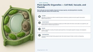 Slide 09 — Plant Biology
Plant-Specific Organelles — Cell Wall, Vacuole, and
Plastids
Plant cells gain structural rigidity, long-term storage capacity, and photosynthetic versatility
through organelles absent from animal cells.
Cell Wall
Rigid layer of cellulose microfibrils outside the plasma membrane; provides structural support and protects
against osmotic lysis [1]
Central Vacuole
Large membrane-bound sac (tonoplast) occupying up to 90% of plant cell volume; stores water, ions, pigments, and
waste products; maintains turgor pressure
Plastids
Family of organelles including chloroplasts (photosynthesis), chromoplasts (pigment storage), and amyloplasts
(starch storage)
Plasmodesmata
Channels through cell walls linking adjacent plant cells; allow transport of water, nutrients, and signaling
molecules
Biology Department | 2026
 