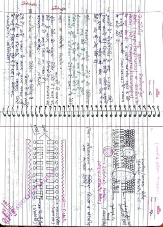(
<br>
fuítyer
<br>
otei
<br>
nsic
<br>
Pote's
<br>
(inania
<br>
O,Head
<br>
DHyeophilic
<br>
tiGTt
(Phsephgttdytethanotamine)
<br>
tftrite
Prote'
<br>
Page
<br>
Date
<br>
FREEMIND
<br>
(
rrfi
s)
toauncl
<br>
Page
<br>
Date
<br>
 