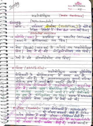 Thusoay
<br>
trs9o
<br>
(mitochendria)
<br>
Striatea muscteE
<br>
faare tgtstribti
<br>
FREEMIND
<br>
Date 30202
<br>
Page
<br>
 