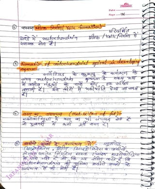 smutoetort'
<br>
SpenE
<br>
Date
<br>
Page
<br>
FREEMIND
<br>
 