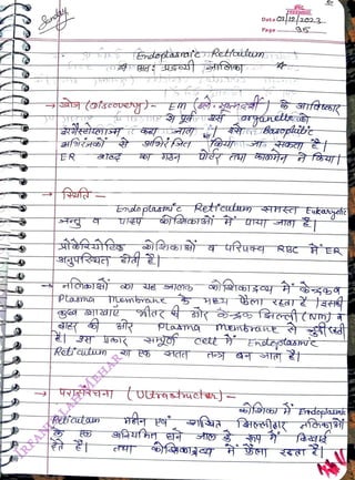 Ret cutwn
<br>
Ptasnd membrahe
<br>
Reticutan
<br>
TEndtoptasteRettam
<br>
ptana
<br>
Date
Ca22023
<br>
Page
<br>
FREEMIND
<br>
Endo plasmuc Refcutuwmn HE Eukanyeta
<br>
tuttrytuctj
<br>
orjanette
<br>
cett h EnotastasmTC
<br>
Frdoplama
<br>
 