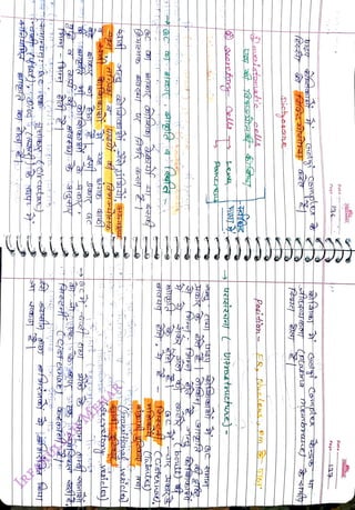 T
<br>
TiStore
eoto
exicle)
<br>
heicle
<br>
aferasr
(Tasutes
<br>
T
<br>
Penca
<br>
itoniate
cells
<br>
Posihon
<br>
ER,
ucleusi
Pm
<br>
Dictyosoe
<br>
Paqe
<br>
Date
<br>
Paqe
<br>
Date
<br>
FREEMIND
<br>
FREEMIND
<br>
 
