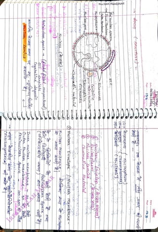 CEsto
kayothetaj
tt
<br>
oitaro
<br>
Aucleas
<br>
pesinucleas
&pace
<br>
Outes
Aucles
nembrag
<br>
Tnne
nucleas
membrae
S0A
<br>
Coystaline
dagcsit
<br>
oif
aaplets
<br>
kuiel
filed
conpaktns)
<br>
Petnucteh
&pace
<br>
Nuctea
embrae
<br>
iaebia
<br>
ncte
T
Envatope
ftuat
ea
mtanbre
<br>
ehial
<br>
Nuclean
pm
<br>
flaments
<br>
eneatiate
<br>
TVOrotubuteg
<br>
Nacleoptasm
<br>
Casomatine
<br>
Nuolea
lamiAa
<br>
leo
pla&
<br>
natesi'al
<br>
eAmembjne
<br>
Ote
0emkane
<br>
Eanek
Membrune
<br>
leni
<br>
mucleRs
<br>
space
s
<br>
Ribesoee
<br>
RER
<br>
tstmcturt
<br>
Pago
<br>
Dats
<br>
O5]01|22
<br>
Page
<br>
Date
<br>
FREEMINP
<br>
 