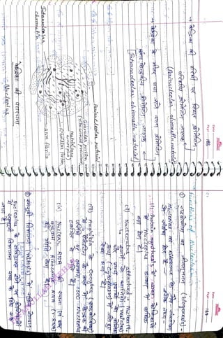 SotanHclea
laa
<br>
-ANA
Abxila
<br>
Rbo
soe
<br>
RIA
(T-RNA)
<br>
1-Abrdlar
foar
ton,
<br>
Matsixlpars,
<br>
noTpha)
<br>
Nuetea
RNA
<br>
UE
Granular
porton
<br>
(ibo
soynal
preWsa
<br>
Reninud
leolas
tesial
<br>
tii)
Am
pu
bia
<br>
fatanuoleolas
chtnata
matesLal
<br>
Tuateotue
<br>
attactc
cteur
ft.
<br>
Astit
faotein
eythesis
<br>
acteptus
STES
<br>
(Qoninucleolas
amatin
matesal
<br>
Aluclecl
<br>
Page
<br>
Date
<br>
Page
<br>
Date
<br>
FREEMIND
<br>
 