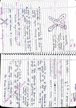 prrsaftte
<br>
Seconday
conetichik
<br>
HacteotSso
<br>
NOR
<br>
tseconotwy
ohstachion)
<br>
HeterochromatrnA
<br>
Conatochey
<br>
2
<br>
Hetenochtmat
<br>
Luchomati
e
<br>
RISHJ
<br>
LPsotein
f
<br>
Skinetochan
<br>
Hetenobkrowati'h
e
<br>
RISH
<br>
tPsoteioG
<br>
Pattcat,
ttfersg)
<br>
chrmati
<br>
Pago
<br>
Page
<br>
Dato
<br>
FREEMIND
<br>
 