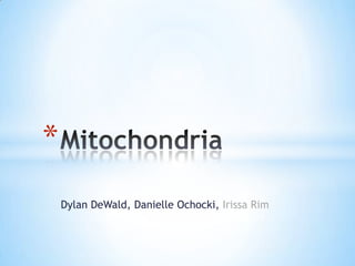 Dylan DeWald, Danielle Ochocki, IrissaRim  Mitochondria 