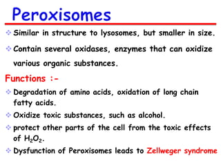  Similar in structure to lysosomes, but smaller in size.

 Contain several oxidases, enzymes that can oxidize
various organic substances.

Functions : Degradation of amino acids, oxidation of long chain
fatty acids.
 Oxidize toxic substances, such as alcohol.

 protect other parts of the cell from the toxic effects
of H2O2.
 Dysfunction of Peroxisomes leads to Zellweger syndrome

 