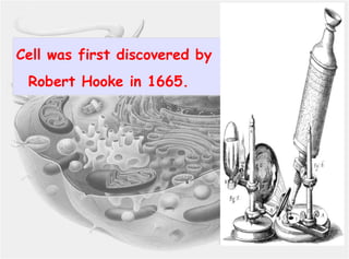 Cell was first discovered by
Robert Hooke in 1665.

 