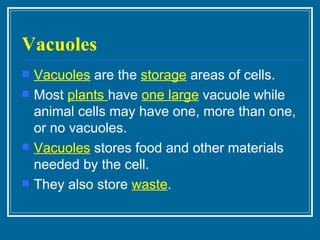Vacuoles Vacuoles  are the  storage  areas of cells. Most  plants  have  one large  vacuole while animal cells may have one, more than one, or no vacuoles. Vacuoles  stores food and other materials needed by the cell. They also store  waste . 