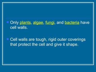 Only  plants ,  algae ,  fungi , and  bacteria  have cell walls. Cell walls are tough, rigid outer coverings that protect the cell and give it shape. 