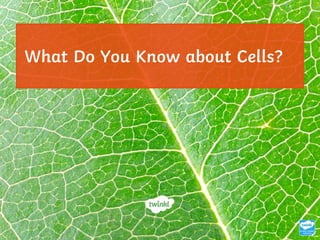 What Do You Know about Cells?
 