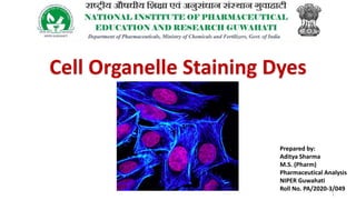 Prepared by:
Aditya Sharma
M.S. (Pharm)
Pharmaceutical Analysis
NIPER Guwahati
Roll No. PA/2020-3/049
Cell Organelle Staining Dyes
1
 