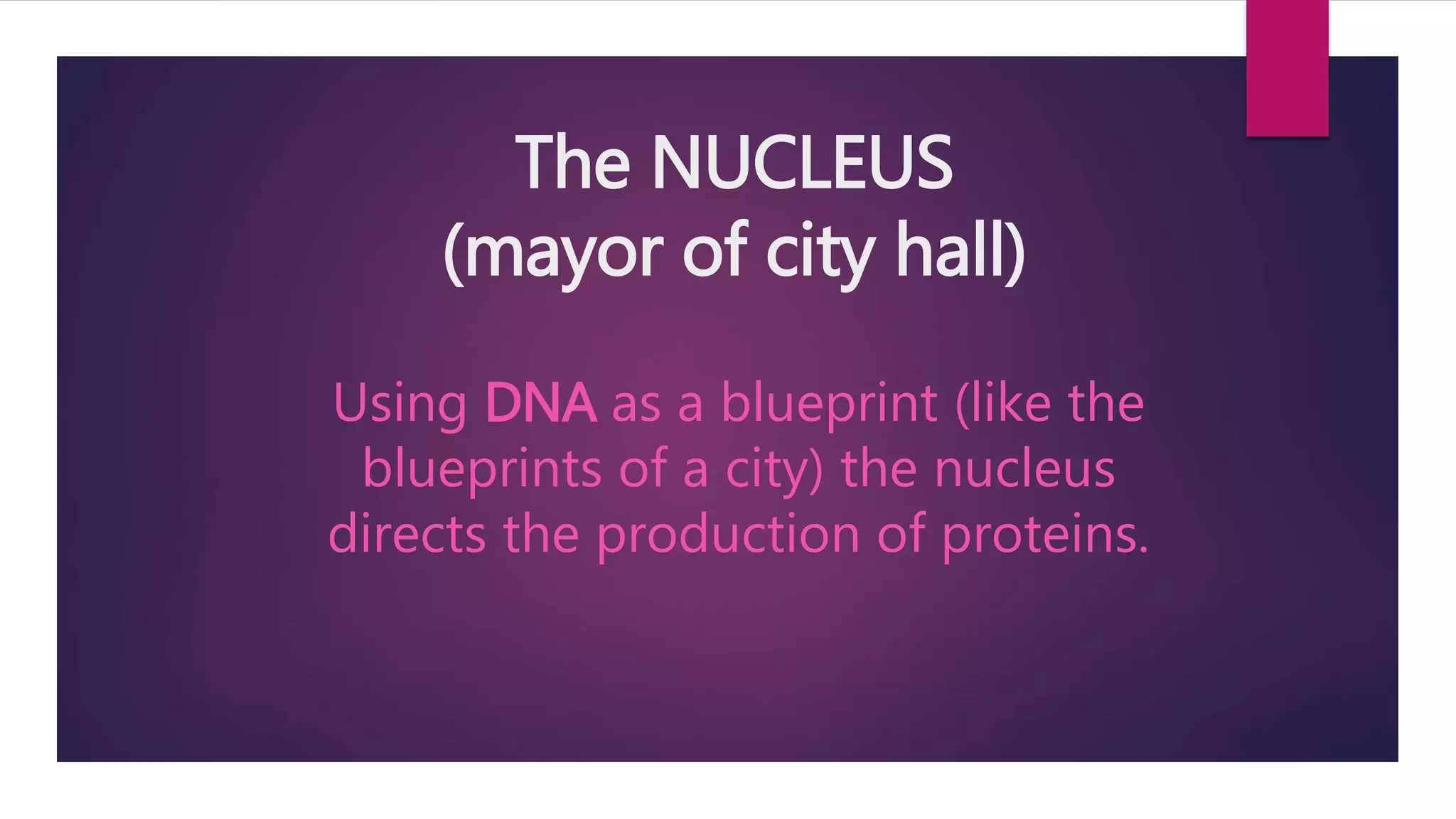 CELL ORGANELLES AND THEIR FUNCTIONS SLIDESHARE visual data 3