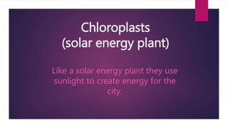Chloroplasts
(solar energy plant)
Like a solar energy plant they use
sunlight to create energy for the
city.
 