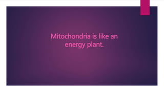 Mitochondria is like an
energy plant.
 