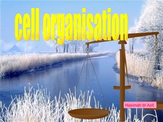 cell organisation  Hasimah bt Azit   