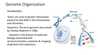 cell organisation .pptx