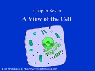 Chapter Seven
                  A View of the Cell




Free powerpoints at http://www.worldofteaching.com
 