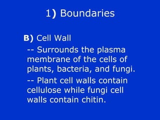 1) Boundaries

B) Cell Wall
 -- Surrounds the plasma
 membrane of the cells of
 plants, bacteria, and fungi.
 -- Plant cell walls contain
 cellulose while fungi cell
 walls contain chitin.
 