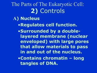 The Parts of The Eukaryotic Cell:
        2) Controls
A) Nucleus
   ?Regulates cell function.
   ?Surrounded by a double-
    layered membrane (nuclear
    enveloped) with large pores
    that allow materials to pass
    in and out of the nucleus.
   ?Contains chromatin C long
    tangles of DNA.
 