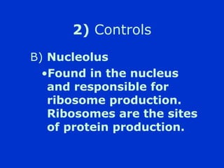 2) Controls
B) Nucleolus
  ?Found in the nucleus
   and responsible for
   ribosome production.
   Ribosomes are the sites
   of protein production.
 