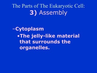 The Parts of The Eukaryotic Cell:
       3) Assembly

CCytoplasm
  ?The jelly-like material
   that surrounds the
   organelles.
 