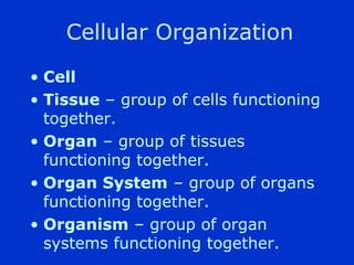 Cellular Organization
? Cell
? Tissue C group of cells functioning
  together.
? Organ C group of tissues
  functioning together.
? Organ System C group of organs
  functioning together.
? Organism C group of organ
  systems functioning together.
 